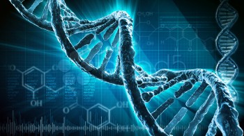 Аномалии обнаружены в хромосомах и ДНК грызунов из зоны хвостохранилища в Мангыстау