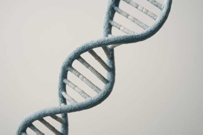 Ученые рассказали о скрещивании современных людей с неандертальцами