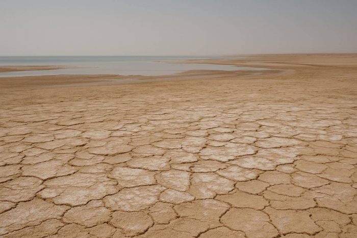 Причиной грязного дождя в Атырау стала соленая пыль с мелеющего Каспия