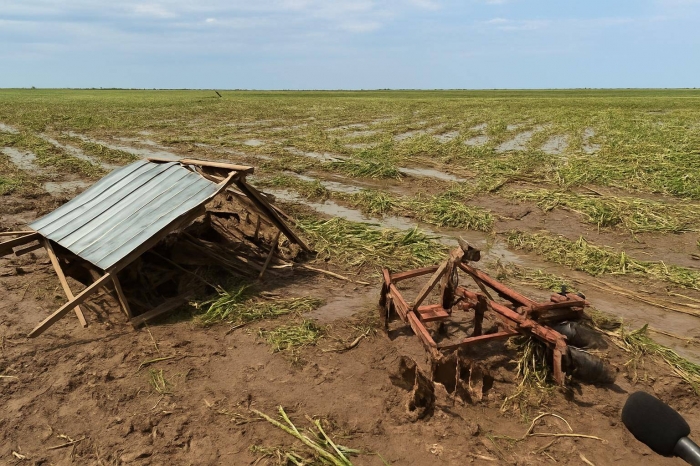 Фермеры Мангистау подсчитывают убытки после урагана и ливней