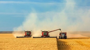 В Казахстане собран рекордный урожай зерна – 23,1 млн тонн